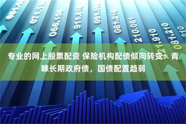 专业的网上股票配资 保险机构配债倾向转变：青睐长期政府债，国债配置趋弱