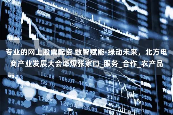 专业的网上股票配资 数智赋能·绿动未来，北方电商产业发展大会燃爆张家口_服务_合作_农产品