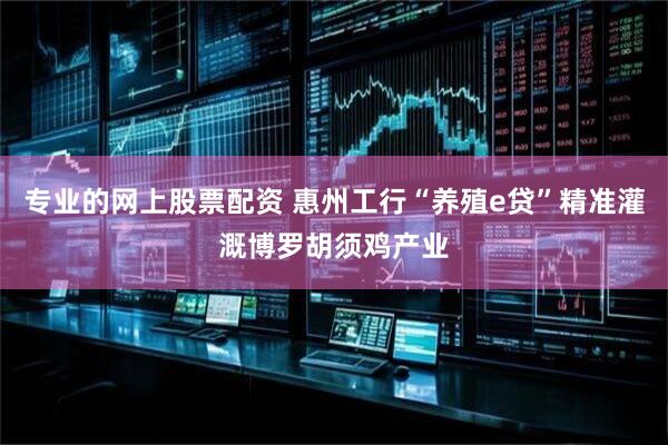 专业的网上股票配资 惠州工行“养殖e贷”精准灌溉博罗胡须鸡产业
