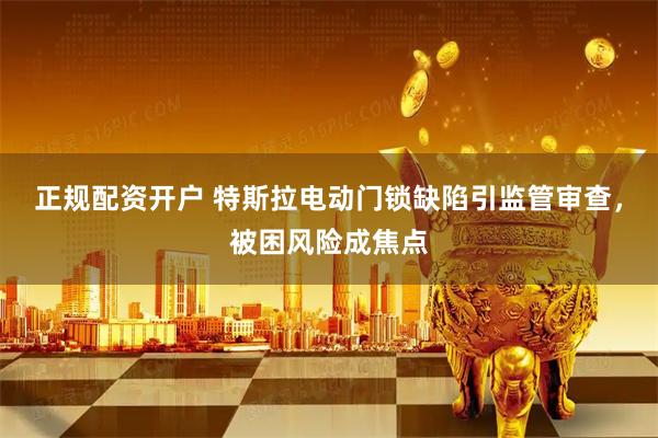 正规配资开户 特斯拉电动门锁缺陷引监管审查，被困风险成焦点