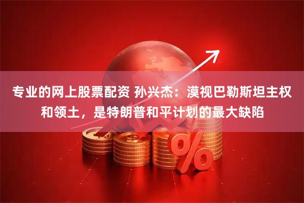 专业的网上股票配资 孙兴杰：漠视巴勒斯坦主权和领土，是特朗普和平计划的最大缺陷