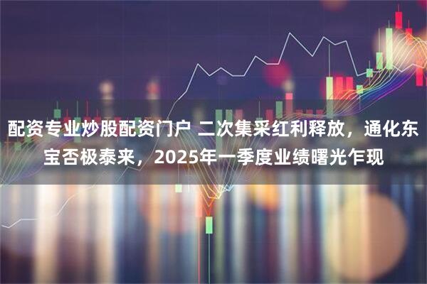 配资专业炒股配资门户 二次集采红利释放，通化东宝否极泰来，2025年一季度业绩曙光乍现
