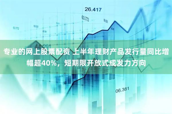 专业的网上股票配资 上半年理财产品发行量同比增幅超40%，短期限开放式成发力方向