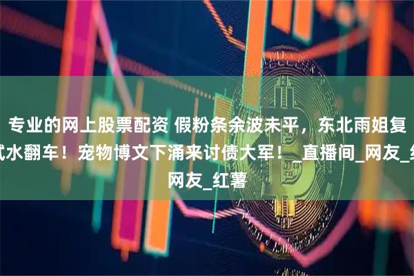 专业的网上股票配资 假粉条余波未平，东北雨姐复出试水翻车！宠物博文下涌来讨债大军！_直播间_网友_红薯