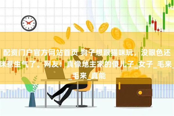 配资门户官方网站首页 狗子想跟猫咪玩，没眼色还把猫咪惹生气了。网友：真像地主家的傻儿子_女子_毛来_真能